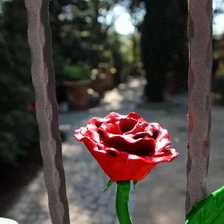 Haus Tanne - Obergeschoss Stausee-hausde Apartment *