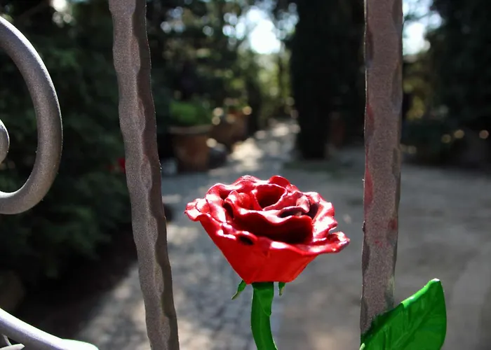 Haus Tanne - Obergeschoss Stausee-hausde Daire *